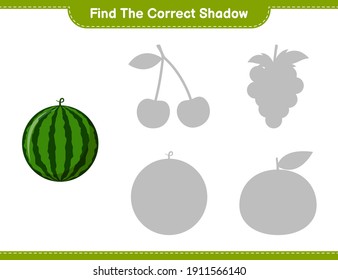 Find the correct shadow. Find and match the correct shadow of Watermelon. Educational children game, printable worksheet, vector illustration
