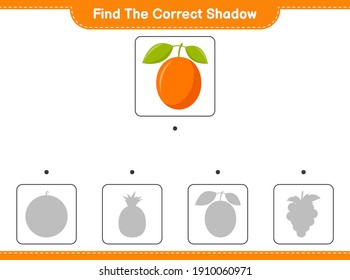 Encuentra la sombra correcta. Buscar y coincidir con la sombra correcta de Ximenia. Juego infantil educativo, hoja de cálculo imprimible, ilustración vectorial
