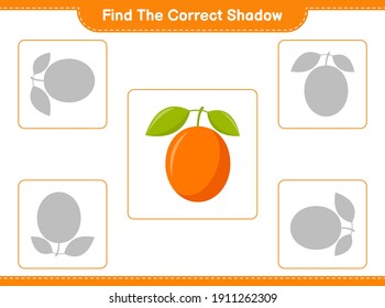 Find the correct shadow. Find and match the correct shadow of Ximenia. Educational children game, printable worksheet, vector illustration