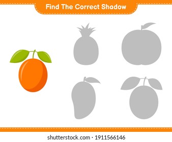 Find the correct shadow. Find and match the correct shadow of Ximenia. Educational children game, printable worksheet, vector illustration