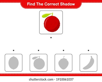 Find the correct shadow. Find and match the correct shadow of Yumberry. Educational children game, printable worksheet, vector illustration