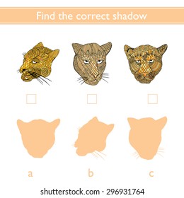 Find the correct shadow (mountain lion, tiger, leopard) 