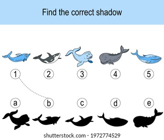 Find the correct shadow puzzle with animals living in ocean. Illustration can be used as logic game for children.