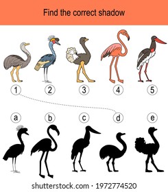 Find the correct shadow puzzle with birds living in tropics. Illustration can be used as logic game for children.