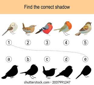 Find the correct shadow puzzle with birds. Illustration can be used as logic game for children.