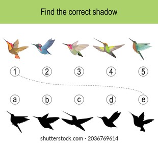 Find the correct shadow puzzle with different birds. Illustration can be used as logic game for children.