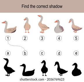 Find the correct shadow puzzle with different ducks. Illustration can be used as logic game for children.