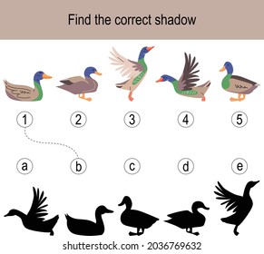 Find the correct shadow puzzle with ducks. Illustration can be used as logic game for children.