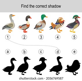 Encuentra el acertado rompecabezas de sombra con las aves de granja. La ilustración puede utilizarse como juego lógico para niños.