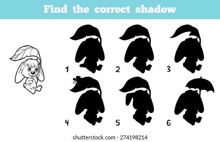 Find the correct shadow (rabbit)