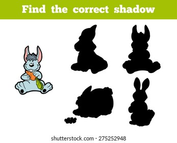 Find the correct shadow (rabbit)