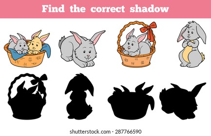 Find The Correct Shadow (rabbits Set)