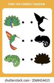 Find the correct shadow. Set 
 - Peacock,  Chameleon and hummingbird. Educational matching game for kids. Worksheet for preschoolers. Vector illustration.