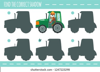 Find the correct shadow. Tiger in the cab of a tractor.  Learning children game.