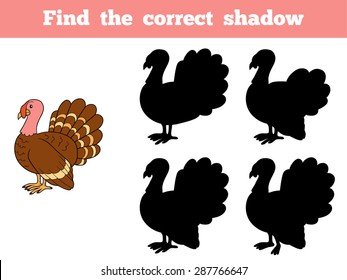 Find the correct shadow (turkey, farm bird)