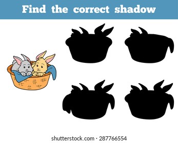Find the correct shadow (two rabbits in the basket)