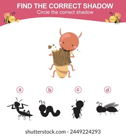 Find the correct shadow. Worksheet for kid. Matching shadow game for children. Circle the correct shadow