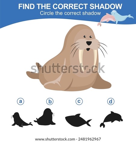 Find the correct shadow. Worksheet for kid. Matching shadow game for children. Circle the correct shadow. Find the correct shadow. Printable activity page for kids