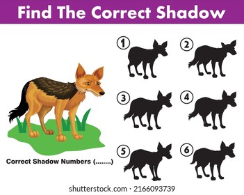 Find the correct shadow.Educational game for children Color.