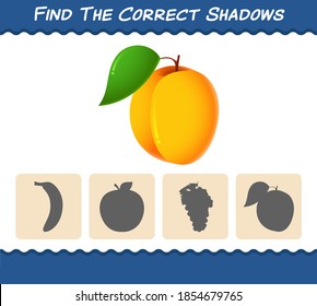 Find the correct shadows of cartoon apricot. Searching and Matching game. Educational game for pre shool years kids and toddlers