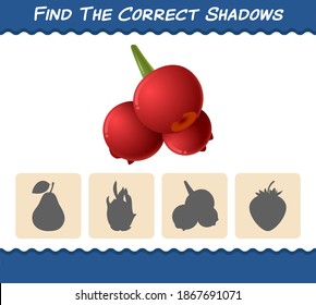 Find the correct shadows of cartoon cranberries. Searching and Matching game. Educational game for pre shool years kids and toddlers
