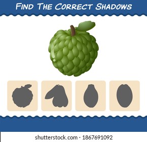 Find the correct shadows of cartoon custard apples. Searching and Matching game. Educational game for pre shool years kids and toddlers