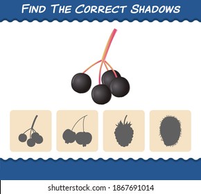 Find the correct shadows of cartoon elderberries. Searching and Matching game. Educational game for pre shool years kids and toddlers