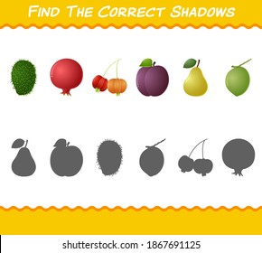 Find the correct shadows of cartoon fruits. Searching and Matching game. Educational game for pre shool years kids and toddlers