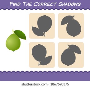 Find the correct shadows of cartoon guavas. Searching and Matching game. Educational game for pre shool years kids and toddlers