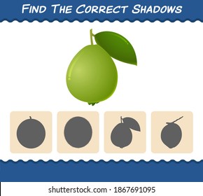 Find the correct shadows of cartoon guavas. Searching and Matching game. Educational game for pre shool years kids and toddlers