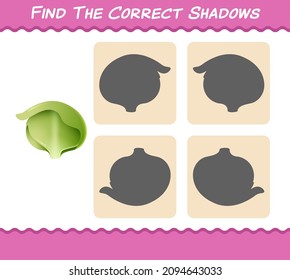 Find the correct shadows of cartoon iceberg lettuce. Searching and Matching game. Educational game for pre shool years kids and toddlers