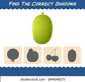 Find the correct shadows of cartoon jackfruits. Searching and Matching game. Educational game for pre shool years kids and toddlers
