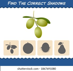 Find the correct shadows of cartoon olives. Searching and Matching game. Educational game for pre shool years kids and toddlers