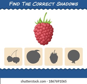 Finden Sie die richtigen Schatten von Himbeeren aus Cartoon. Suche und Matching-Spiel. Erziehungsspiel für Kinder und Kleinkinder im Vorschulalter