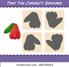 Find the correct shadows of cartoon rose apples. Searching and Matching game. Educational game for pre shool years kids and toddlers