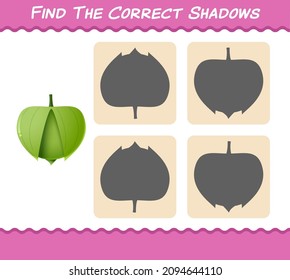 Finden Sie die richtigen Schatten von Cartoon Tomatillo. Suche und Matching-Spiel. Erziehungsspiel für Kinder und Kleinkinder im Vorschulalter