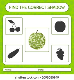 Find the correct shadows game with cantaloupe. worksheet for preschool kids, kids activity sheet