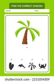Find the correct shadows game with coconut tree. worksheet for preschool kids, kids activity sheet