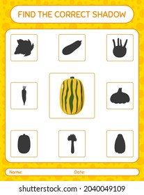 Find the correct shadows game with delicata squash. worksheet for preschool kids, kids activity sheet