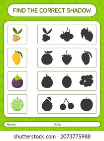 Find the correct shadows game with fruits. worksheet for preschool kids, kids activity sheet