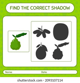 Find the correct shadows game with kaffir lime. worksheet for preschool kids, kids activity sheet