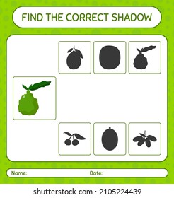 Find the correct shadows game with kaffir lime. worksheet for preschool kids, kids activity sheet