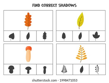 Find the correct shadows of pictures. Clip cards for preschool kids. Autumn leaves.
