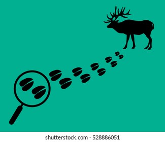 Find the deer on the map. Magnifying glass with trail. Flat style.