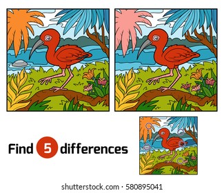 Find differences education game for children, Scarlet ibis and background