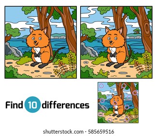 Find differences education game for children, Quokka and background