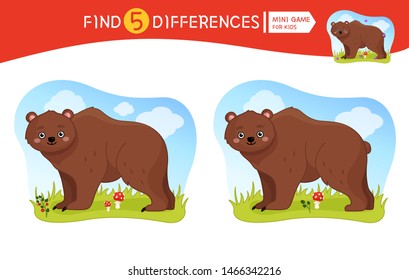 Find differences.  Educational game for children. Cartoon vector illustration of cute bear.