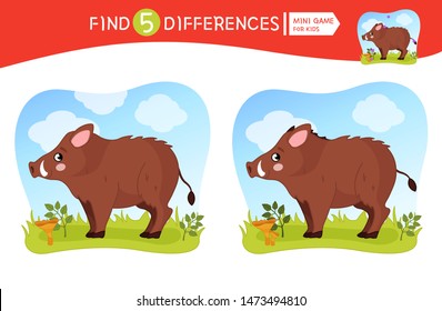 Find differences.  Educational game for children. Cartoon vector illustration of cute boar.