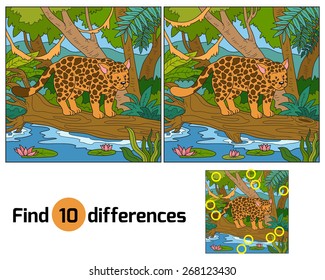 Find differences (jaguar)