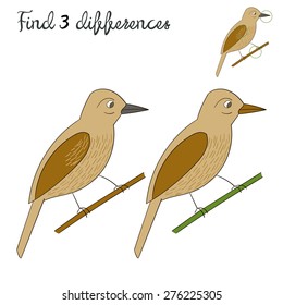 Find differences kids layout for game bird vector illustration